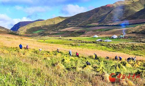 爆料禾丰美景视频下载,带你领略乡村风光无限 第3张 爆料禾丰美景视频下载,带你领略乡村风光无限 第3张