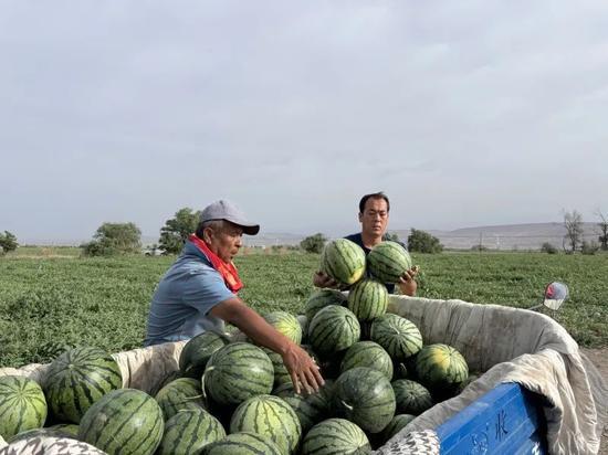 朝堂吃瓜第一集免费观看,第一集免费揭秘宫廷秘闻  第2张