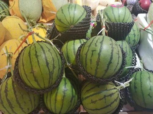 朝堂吃瓜第一集免费观看,第一集免费揭秘宫廷秘闻  第3张