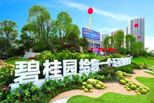 济南碧桂园爆料案件最新,揭秘豪宅纠纷背后的真相  第2张