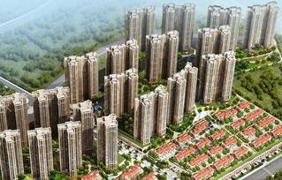 济南碧桂园爆料案件最新,揭秘豪宅纠纷背后的真相  第3张