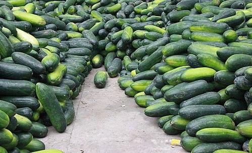 八卦吃瓜网红图片高清大图,高清大图揭秘网络红人幕后生活  第2张