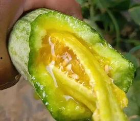 八卦吃瓜网红图片高清大图,高清大图揭秘网络红人幕后生活  第3张