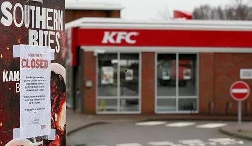 肯德基爆料新闻视频,揭秘幕后真相，视频揭露惊人内幕  第2张