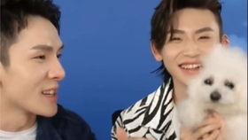 狗仔爆料王琳凯视频播放,王琳凯私密视频意外曝光，引发网友热议  第2张