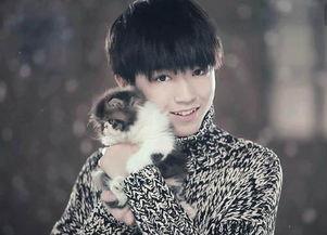 娱乐圈爆料王俊凯张子枫